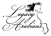 Horse Breeder Logo